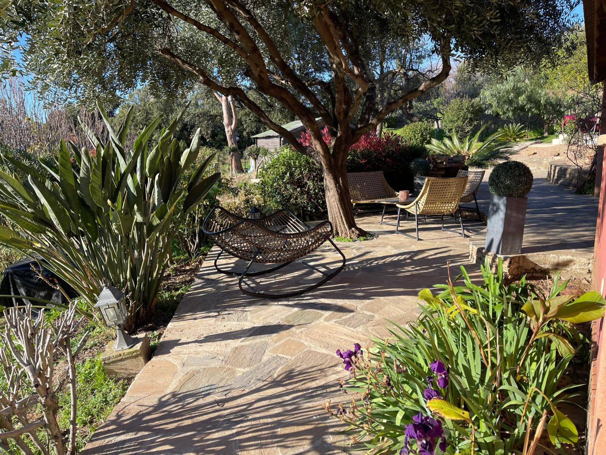 Carpediem_Corsica Poggio-d'Oletta Exterior foto