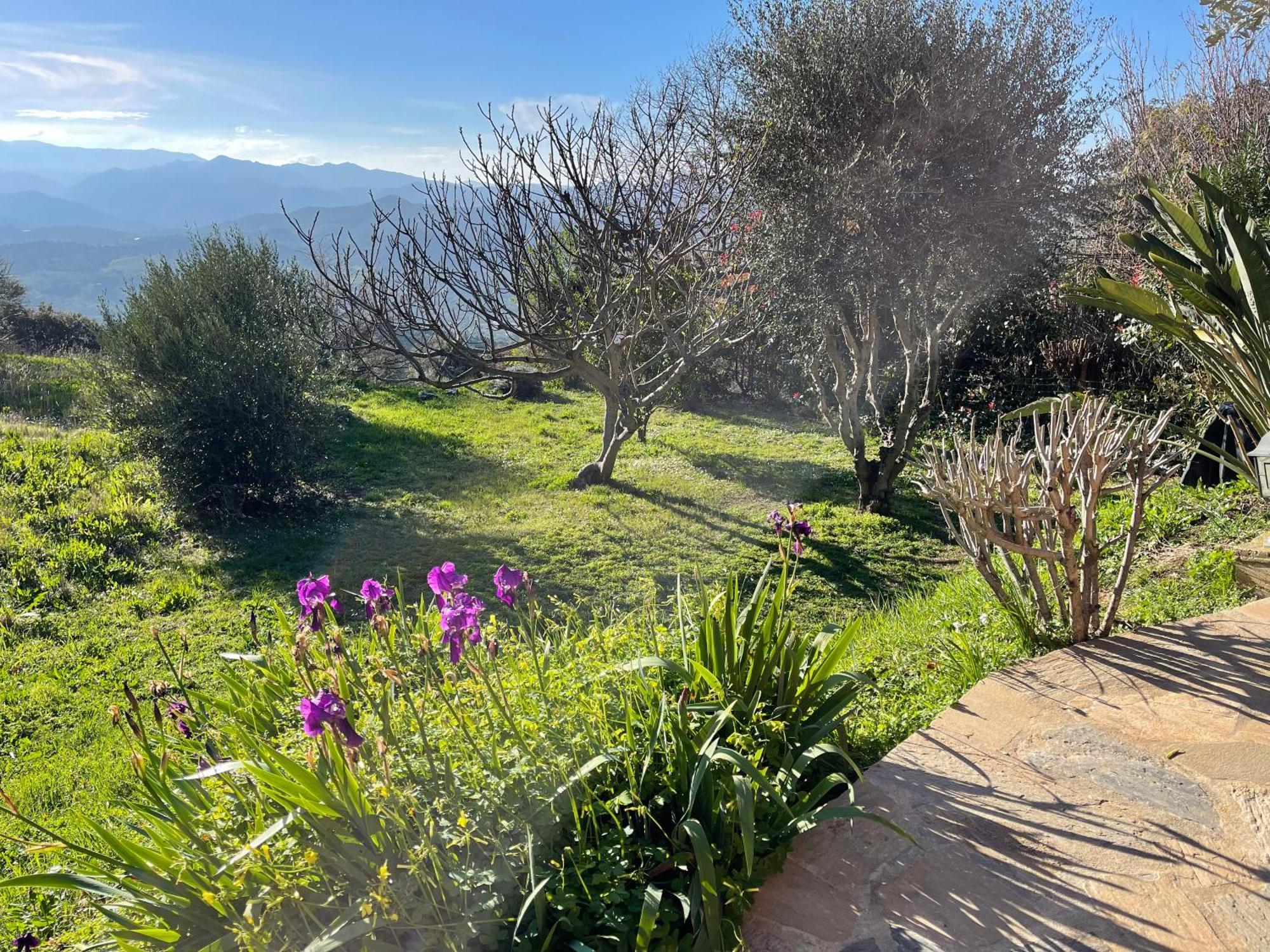 Carpediem_Corsica Poggio-d'Oletta Exterior foto