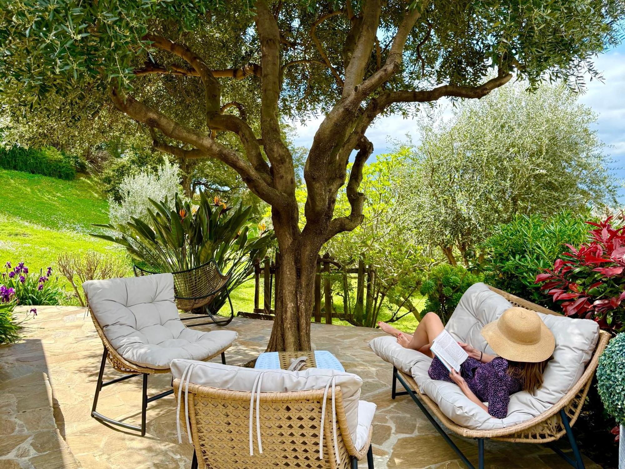 Carpediem_Corsica Poggio-d'Oletta Exterior foto
